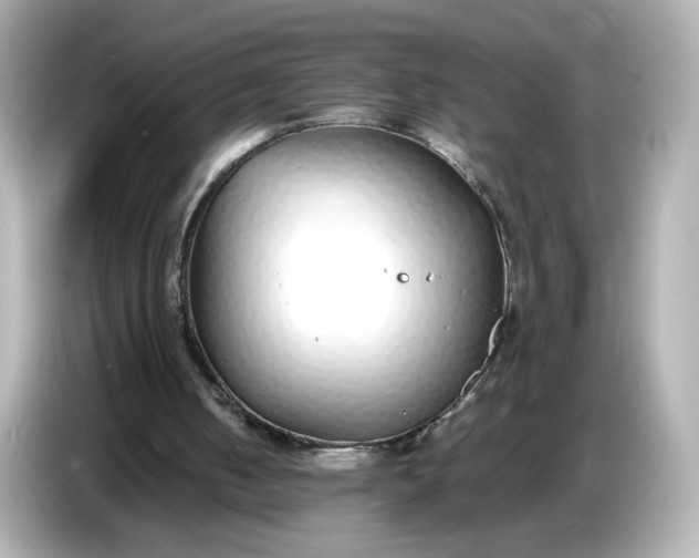 X0000086910050200704301045