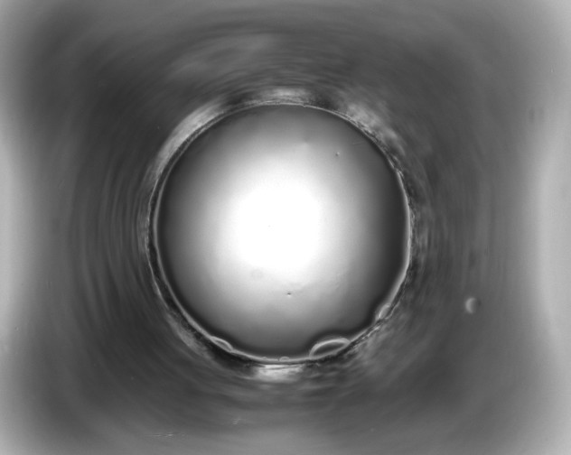 X0000086910051200704301045