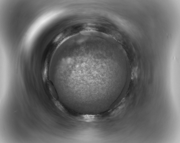 X0000086910052200704301045