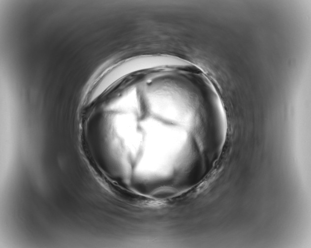 X0000086910053200704301045