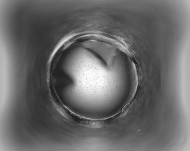 X0000086910056200704301045