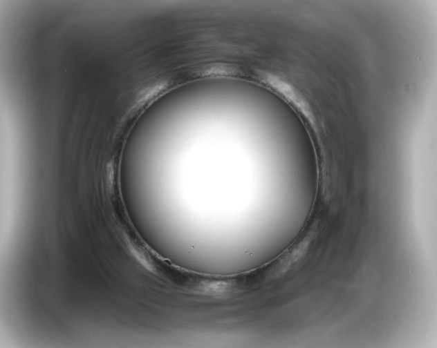 X0000086910057200704301045