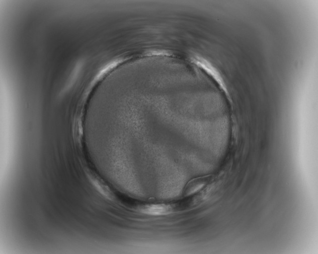 X0000086910059200704301045