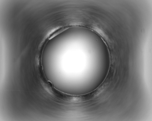 X0000086910060200704301045