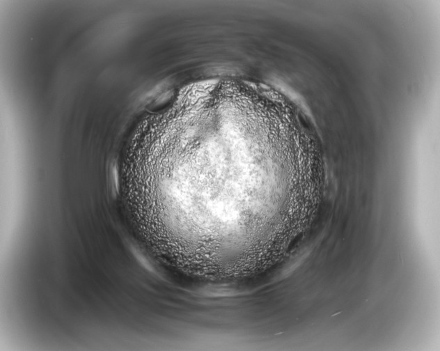 X0000086910061200704301045