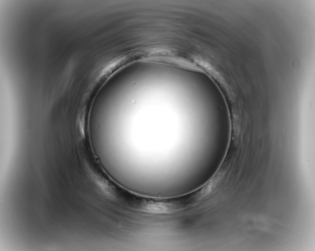 X0000086910062200704301045