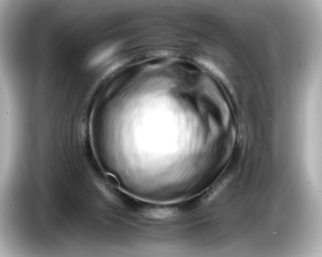 X0000086910063200704301045