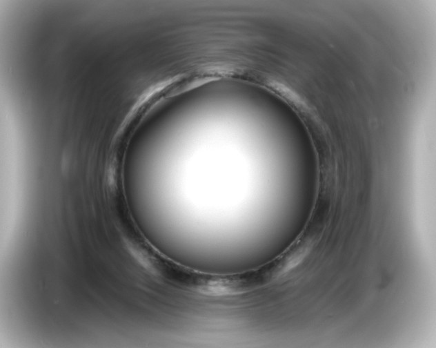 X0000086910064200704301045