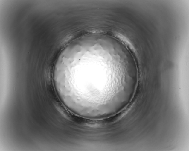 X0000086910065200704301045