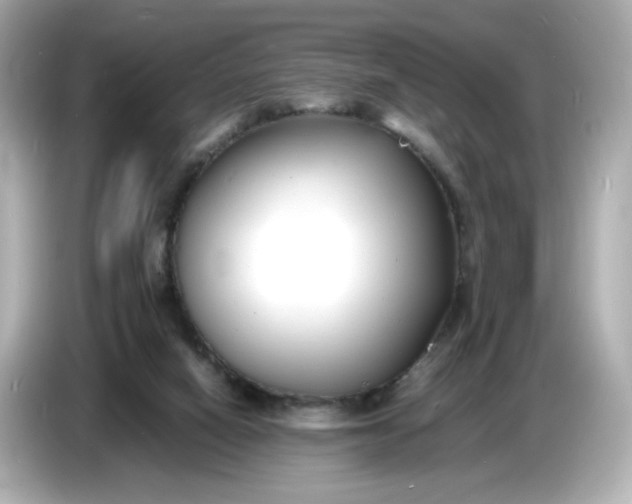 X0000086910066200704301045