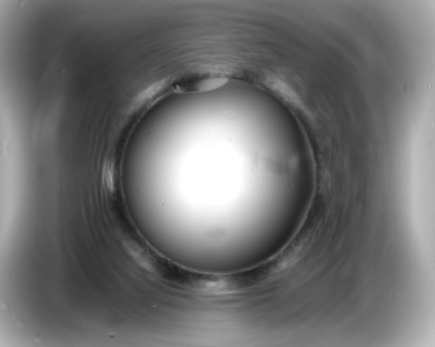 X0000086910068200704301045