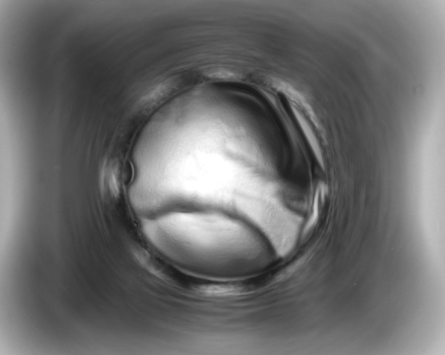 X0000086910069200704301045