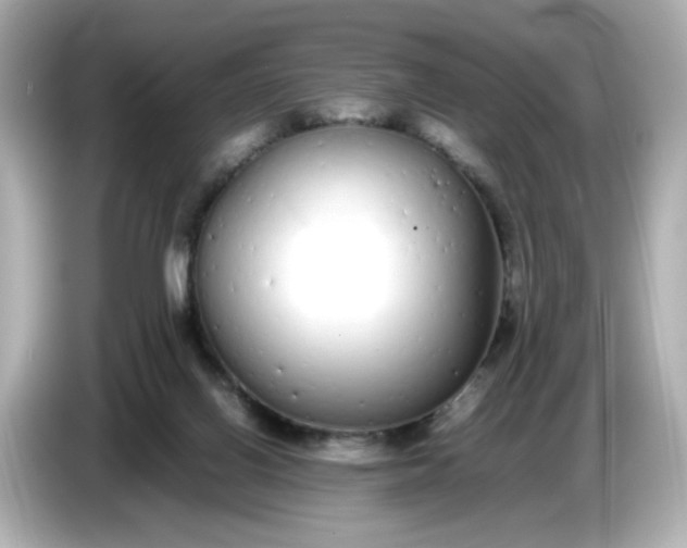 X0000086910070200704301045