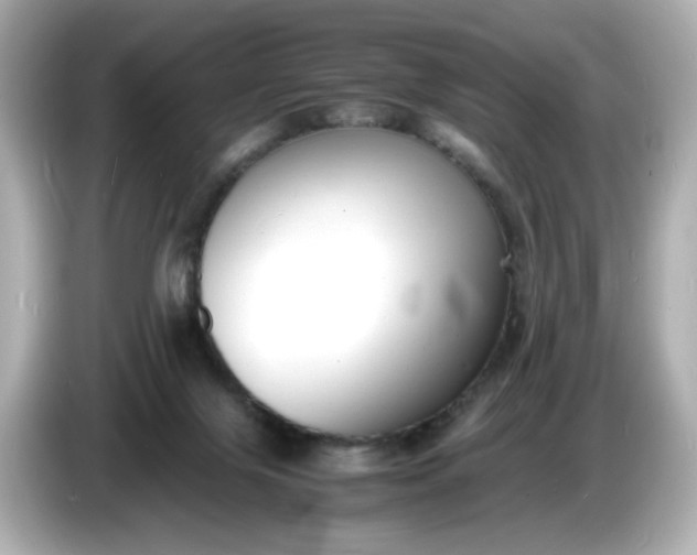 X0000086910071200704301045