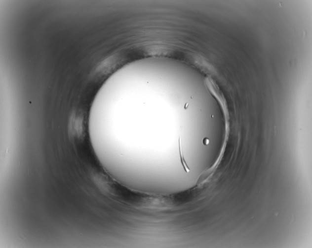 X0000086910074200704301045