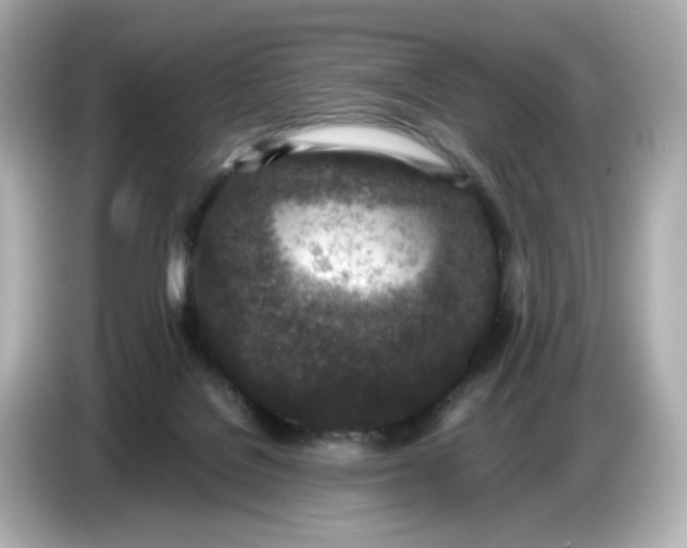 X0000086910076200704301045