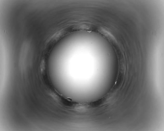 X0000086910077200704301045