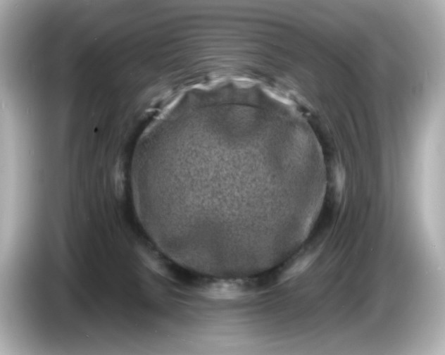 X0000086910080200704301045