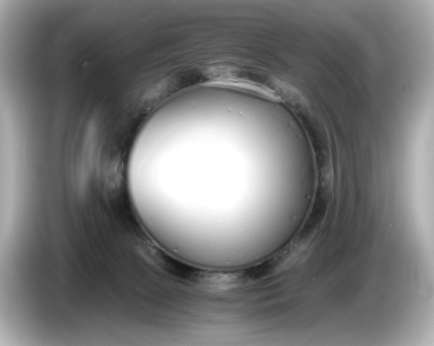 X0000086910081200704301045