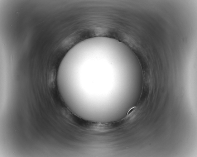 X0000086910082200704301046