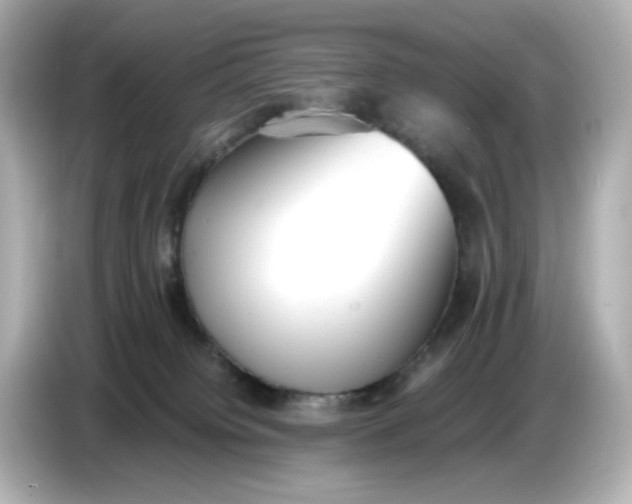 X0000086910084200704301046