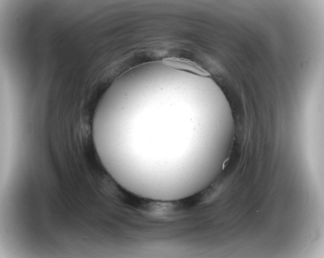 X0000086910085200704301046