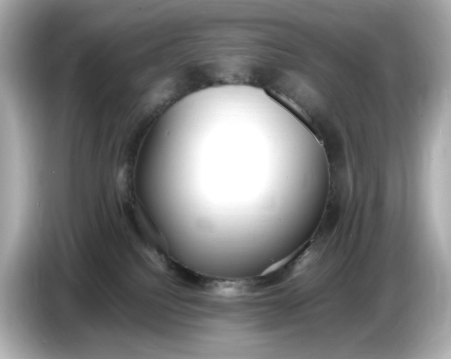 X0000086910088200704301046