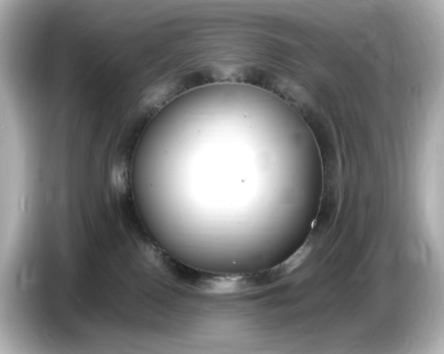 X0000086910090200704301046