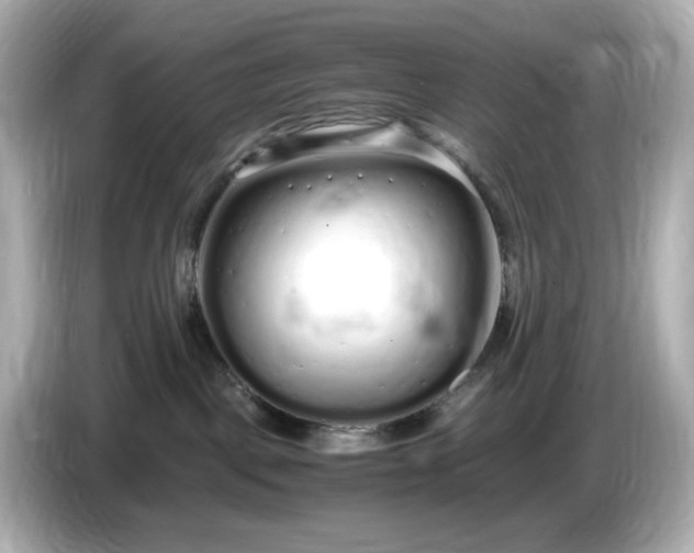 X0000086910093200704301046