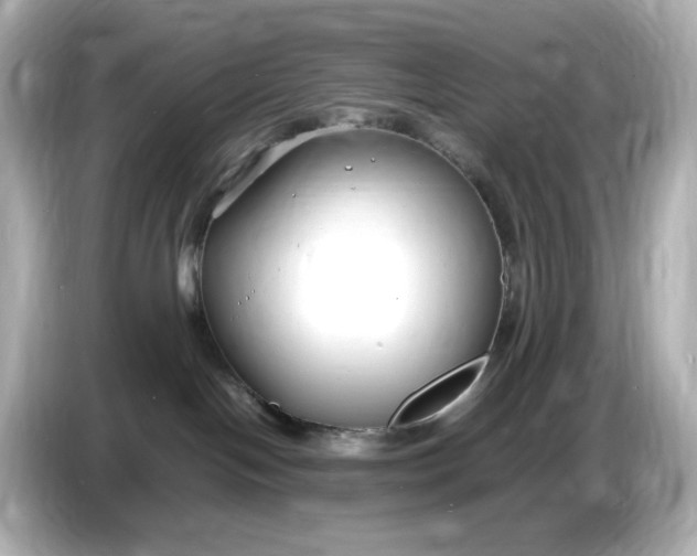 X0000086910094200704301046