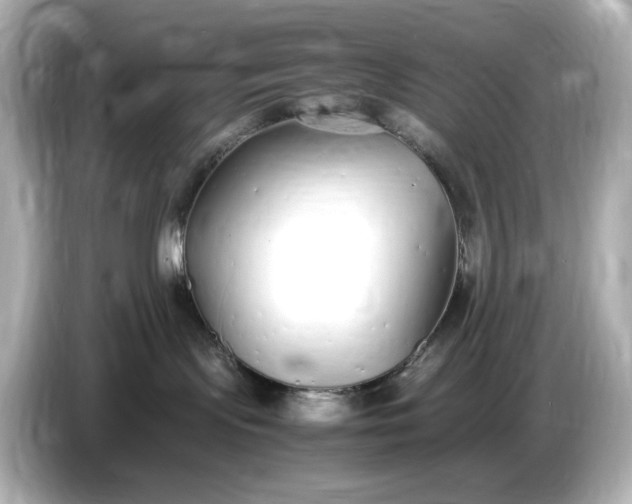 X0000086910095200704301046