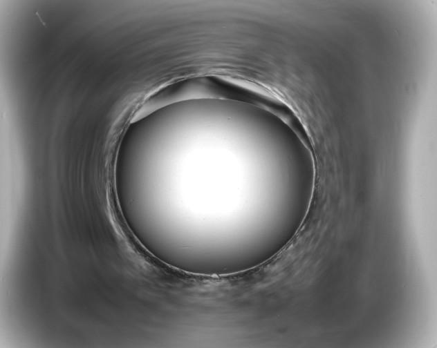 X0000086910097200704301045