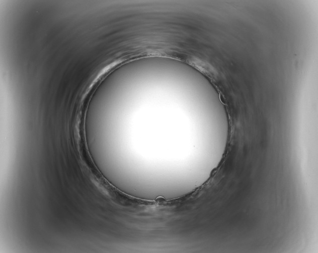 X0000086910098200704301045