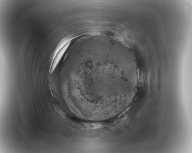 X0000086910099200704301045