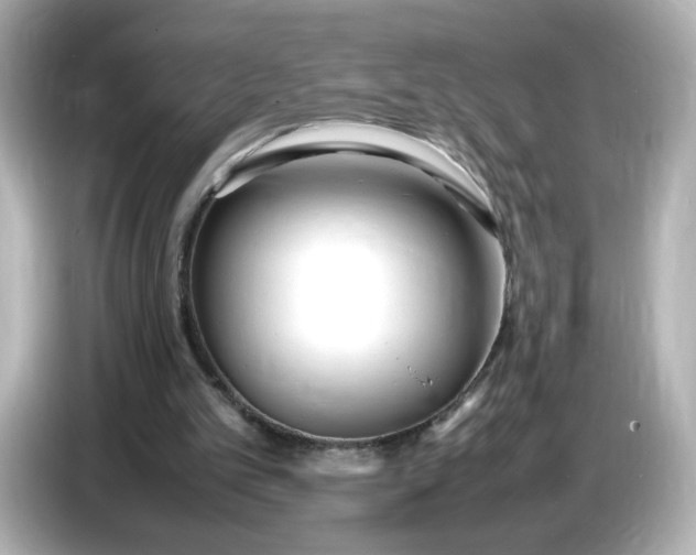 X0000086910101200704301045