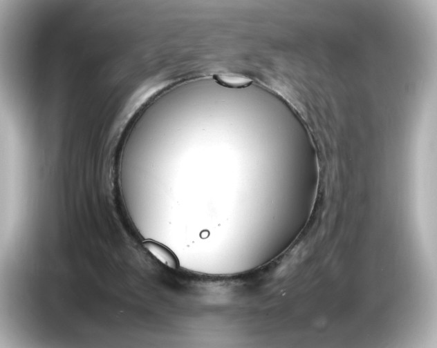 X0000086910103200704301045