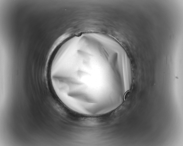 X0000086910104200704301045