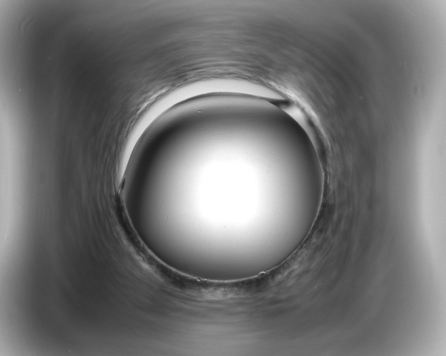 X0000086910105200704301045