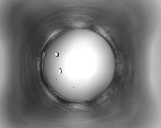 X0000086910106200704301045