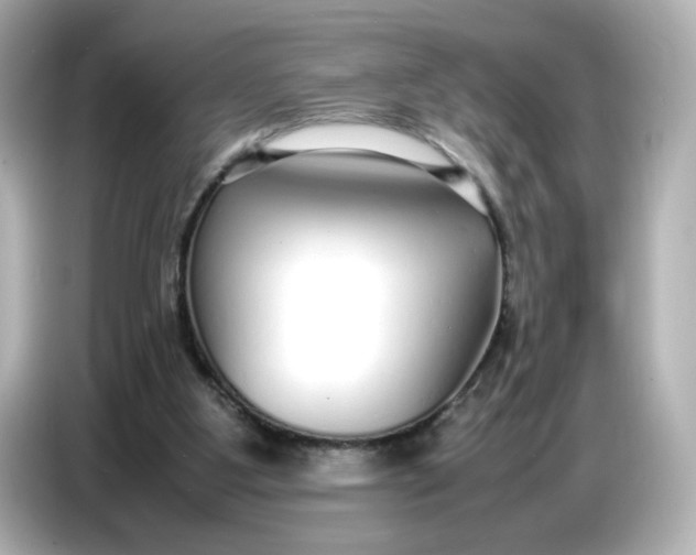 X0000086910107200704301045