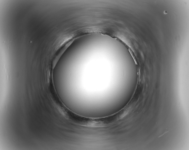 X0000086910109200704301045