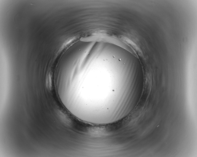 X0000086910110200704301045