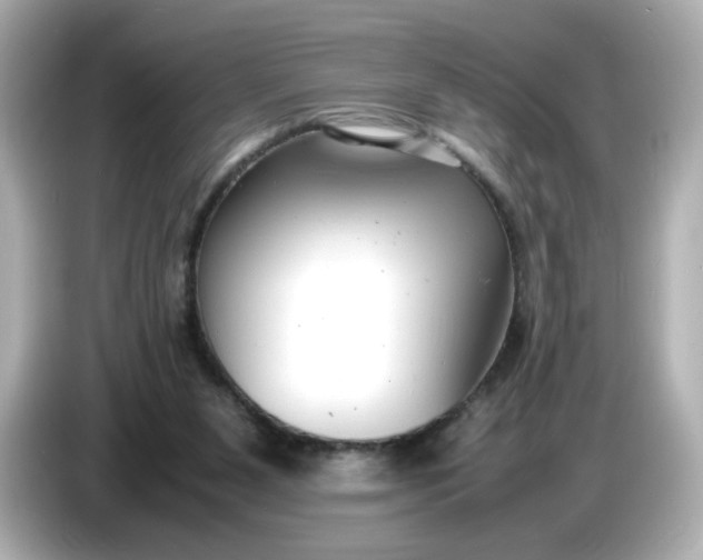 X0000086910111200704301045