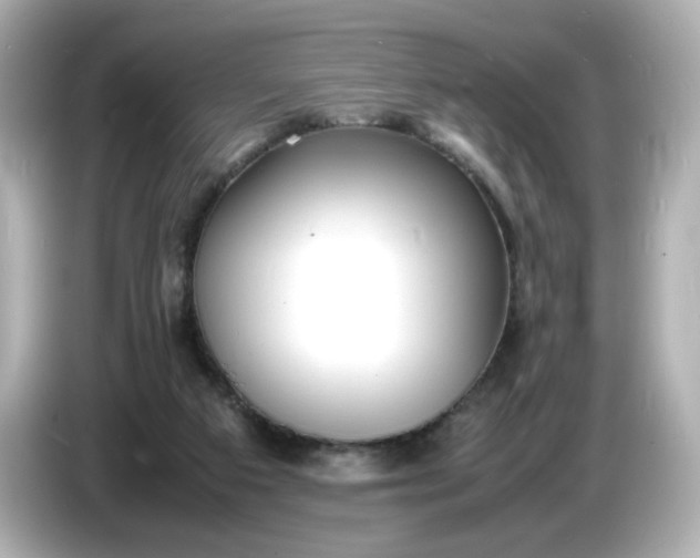 X0000086910113200704301045