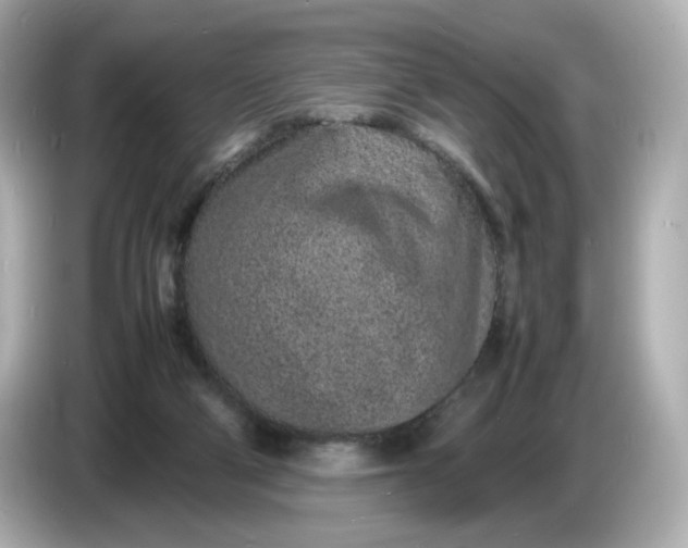 X0000086910114200704301045