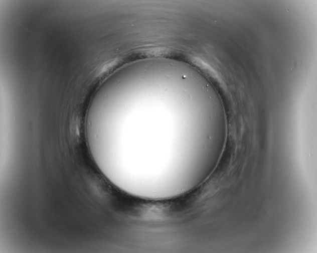 X0000086910115200704301045