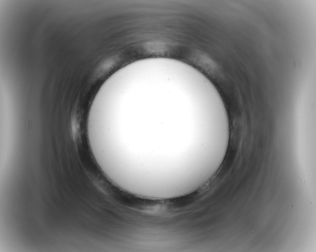 X0000086910116200704301045