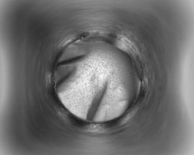 X0000086910117200704301045