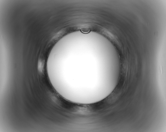 X0000086910118200704301045