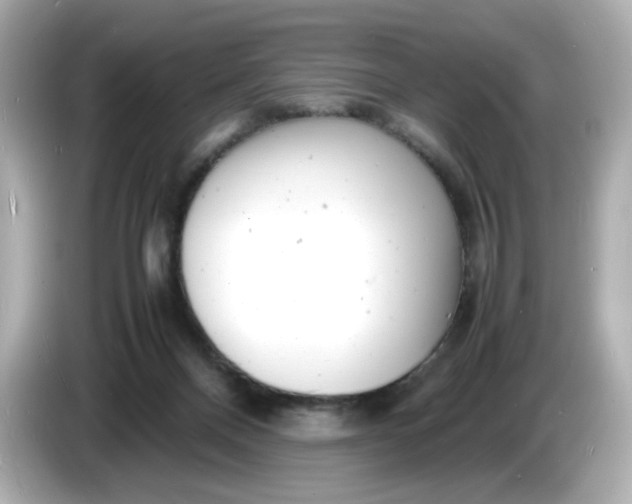 X0000086910120200704301045